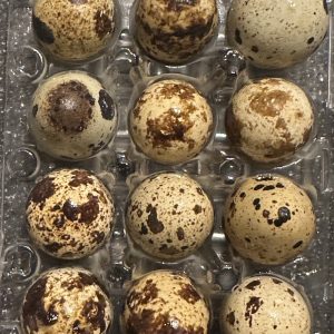 12x Quail Eggs for Eating