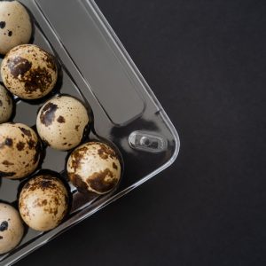 Quail Eggs